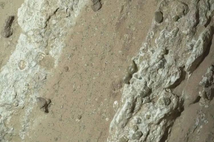 大成果？炒热点？确认“火星生命”先别急