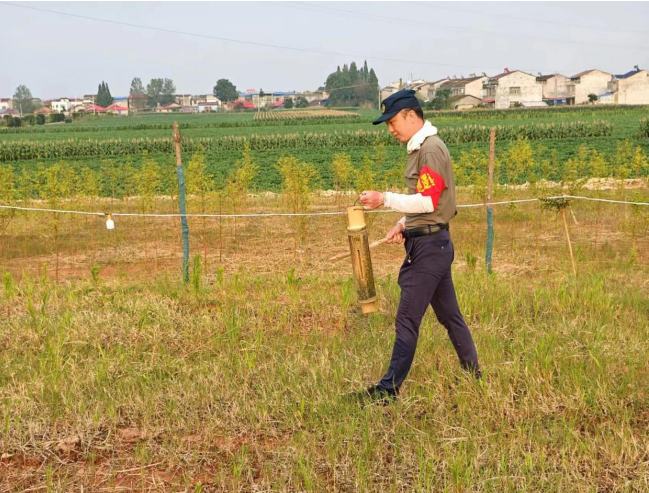 华容县插旗镇:退伍不褪色,防汛显担当_潇湘巴陵