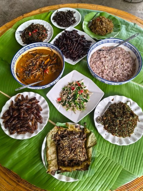 探秘云南虫宴（图源 新华社）