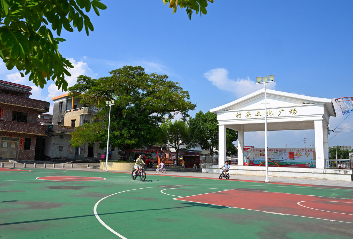 央企助力阳江市平冈镇村头村整治提升人居环境_阳江发布