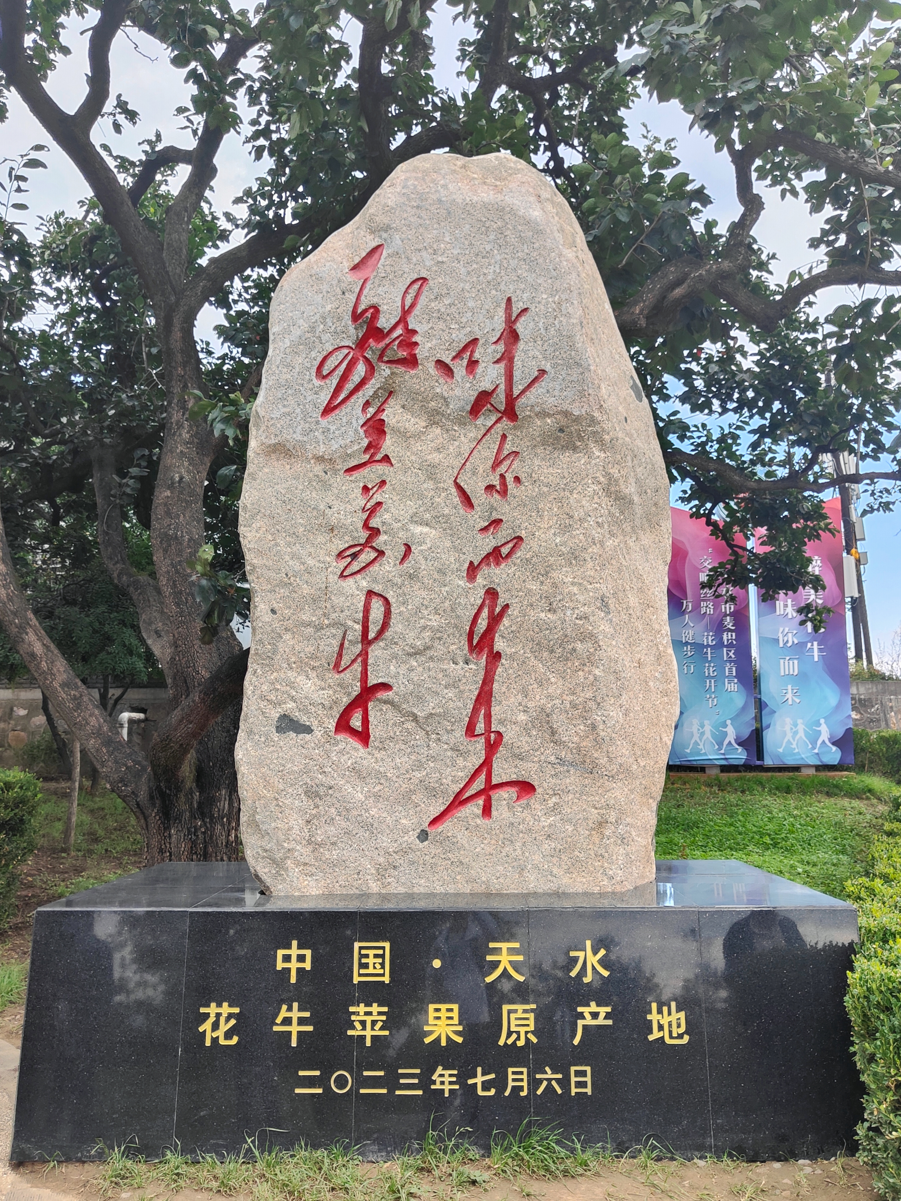 總書記剛剛來過這里丨發(fā)展特色現(xiàn)代山地果業(yè)，日子越過越紅火