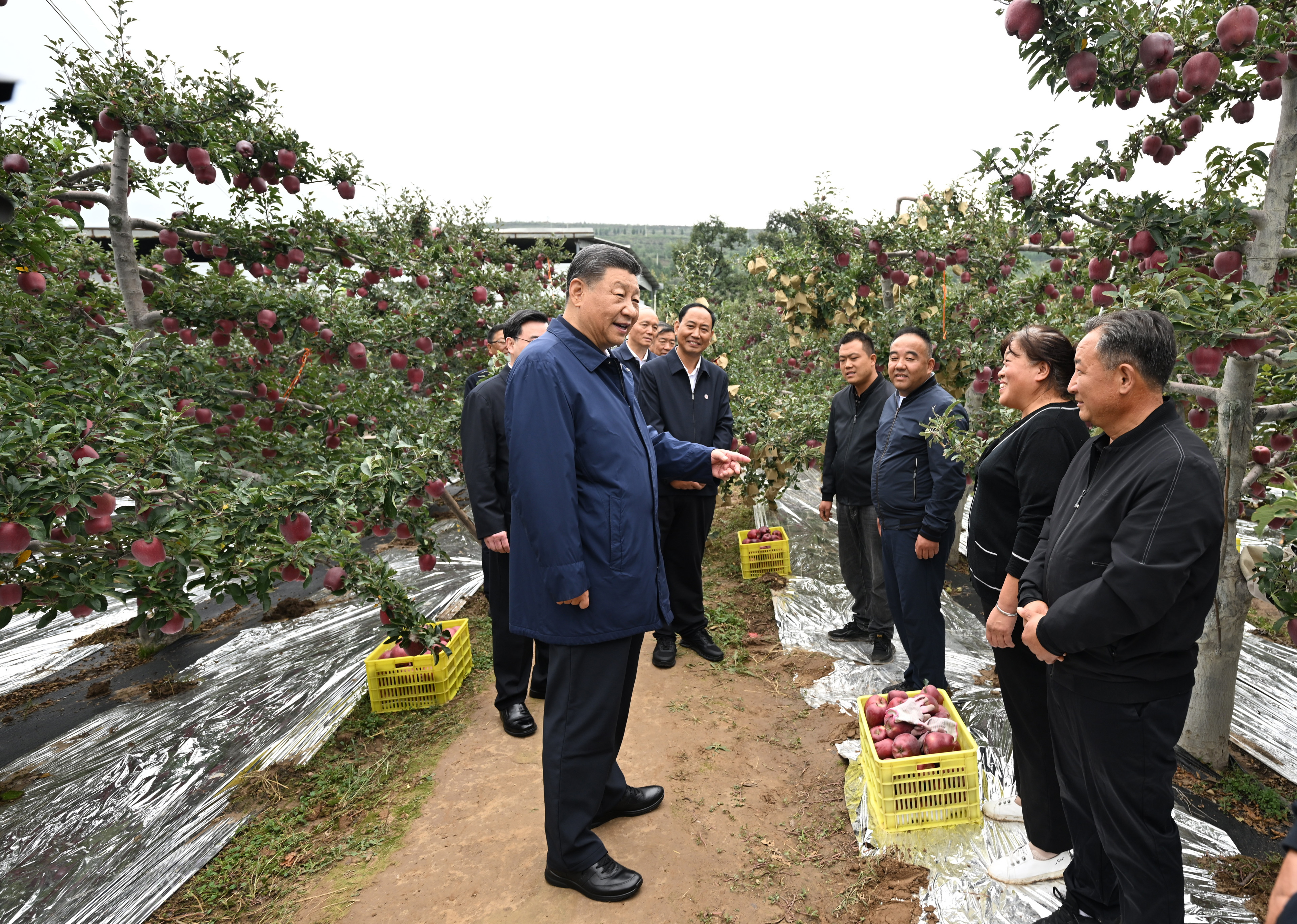 總書記剛剛來過這里丨發(fā)展特色現(xiàn)代山地果業(yè)，日子越過越紅火