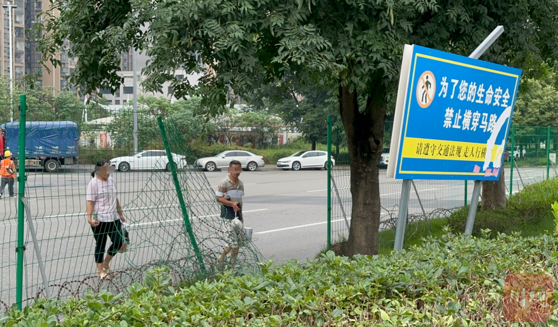 过街上学绕绕绕，天府新区这片区居民急盼过街天桥【C视频·问政四川】