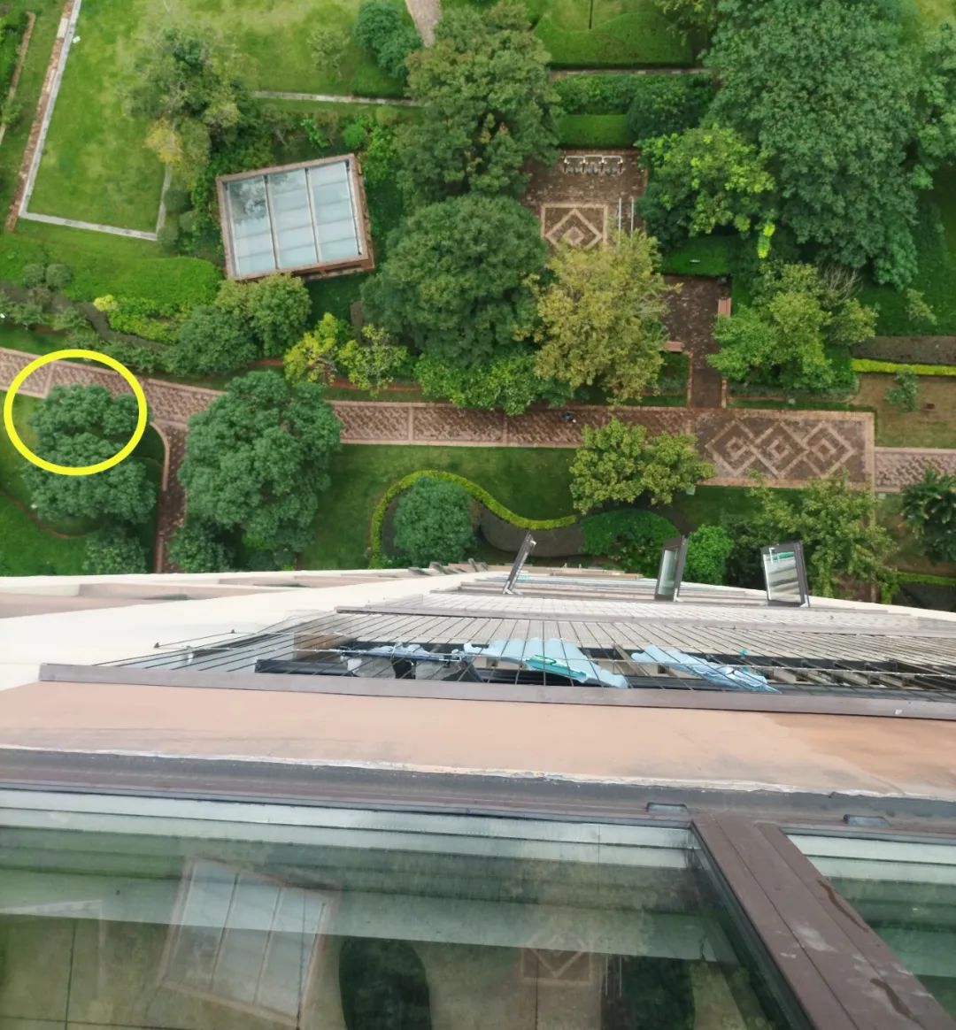 从18层扔下没喝完的奶茶，刑拘了！