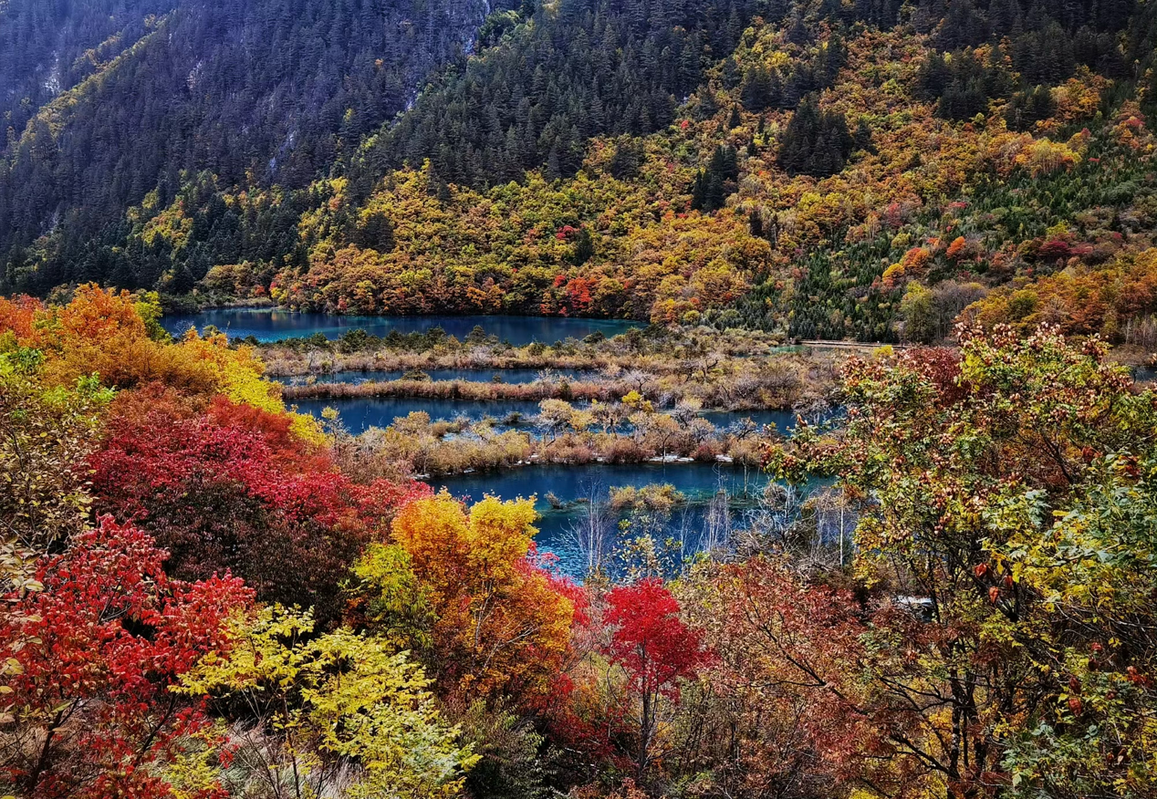 /private/var/mobile/Containers/Data/Application/AC458470-EF5D-470B-BEE8-6467F4C64E94/tmp/insert_image_tmp_dir/2024-09-15 16:53:40.743000.png2024-09-15 16:53:40.743000