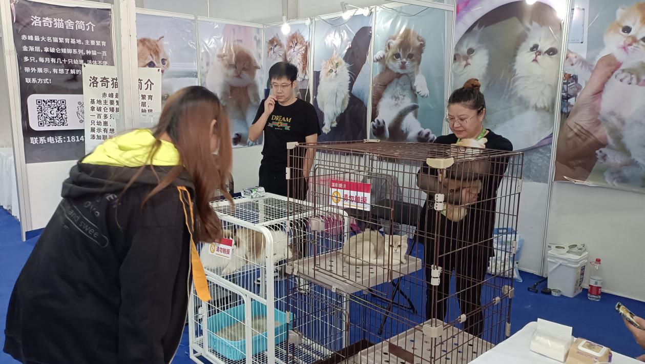 95d8969c201016b7138793463c3870a