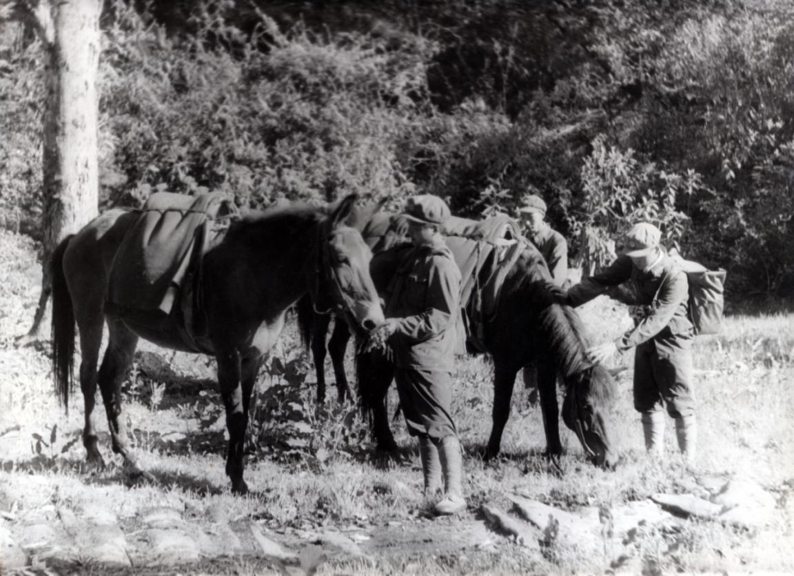 5独龙江通车之前，边防官兵通过马帮进出独龙江