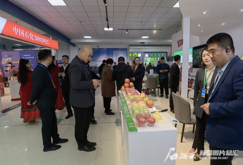 mmexport1729224887999