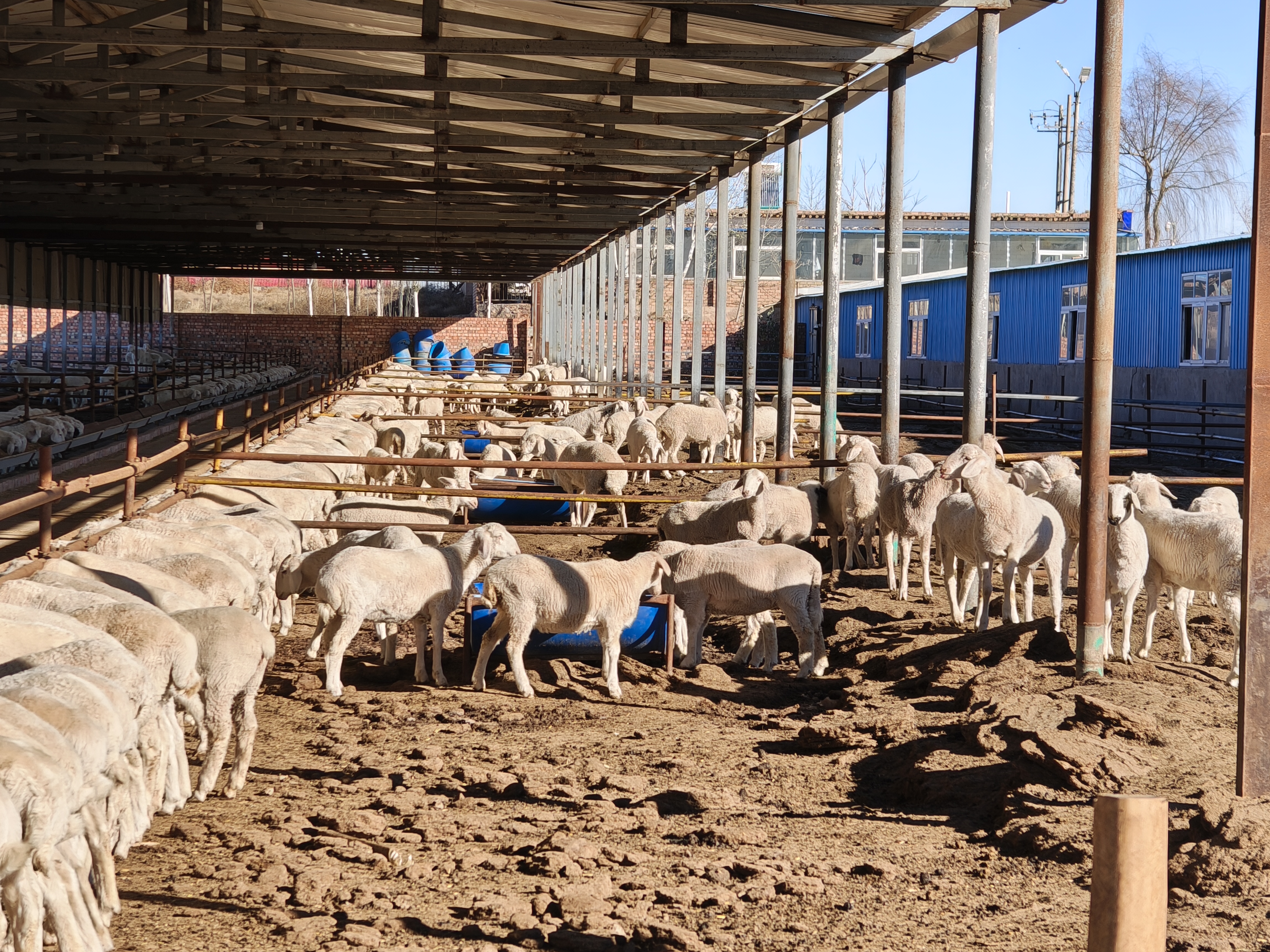 深圳跨境电商人15年云顶国际- 云顶赌场- 云顶娱乐城投资传奇：58万利润押注中远海控