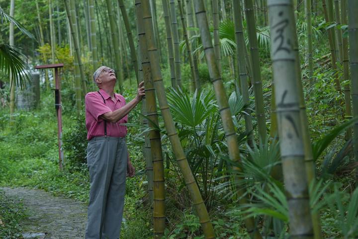 比利时“洋农夫”的生态梦