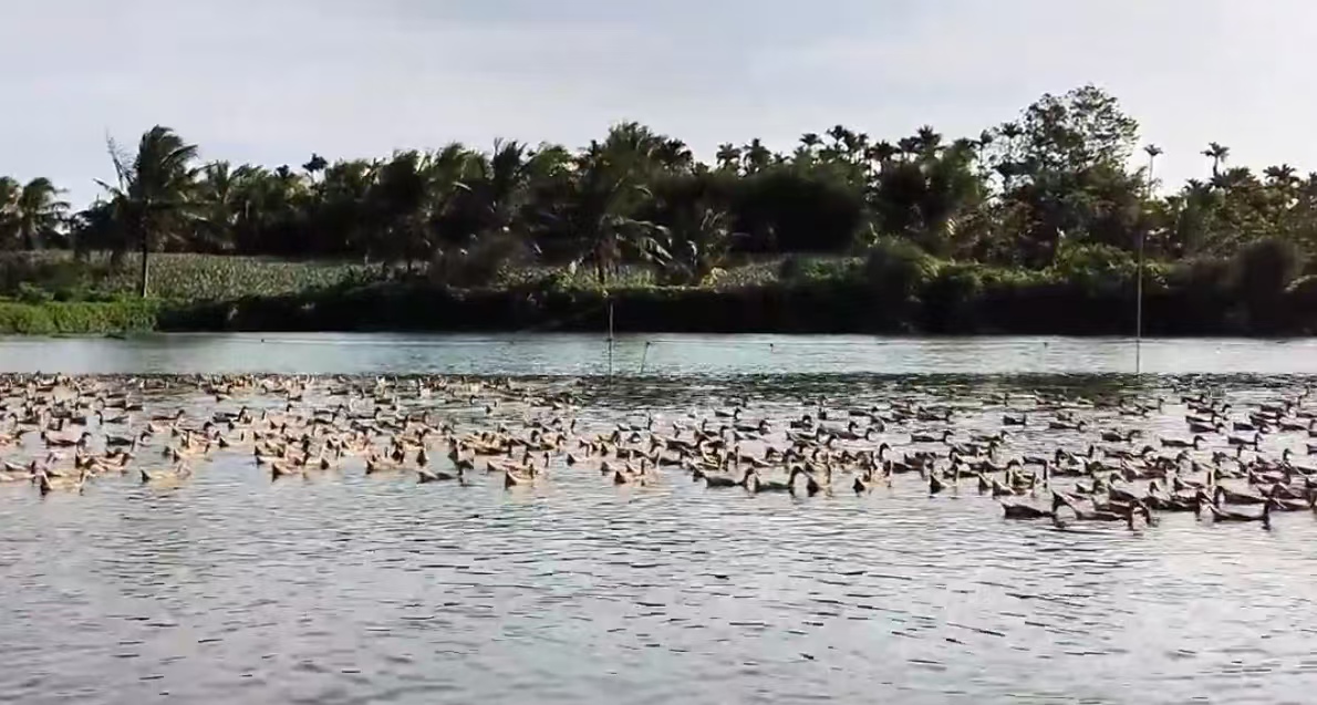 d91f2dcefba1fada9d38c8b8daff917