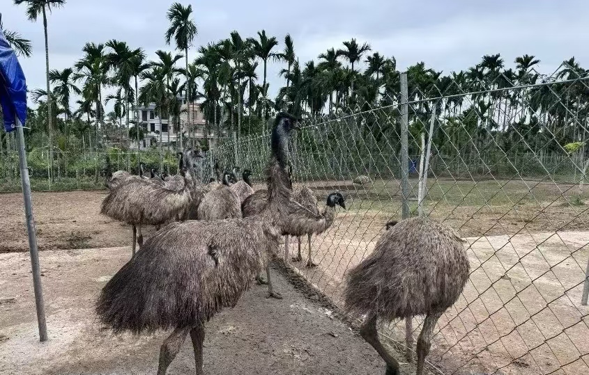 3aa9ce0b483b4518d429cc2fdbaa2d2