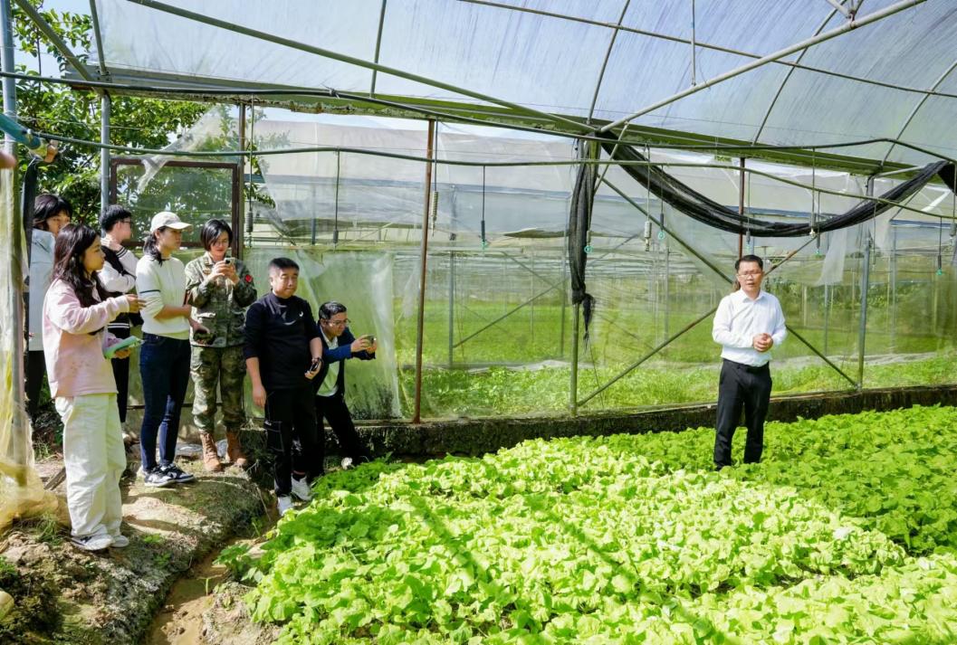 2d62eb06-1d94-4e84-87c4-18f4fde1723d