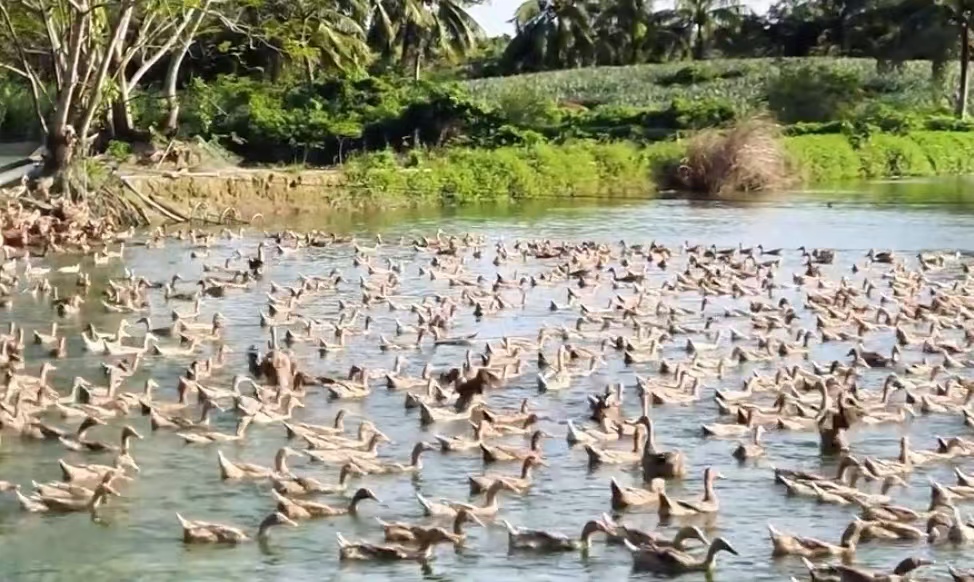 93b42743d5cac00ff8cf332c0da604a