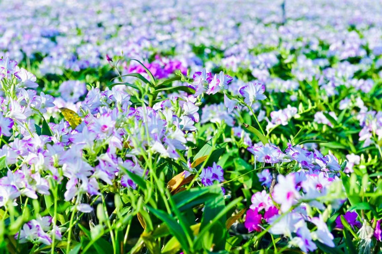 da79955347427a376e32a649a822436