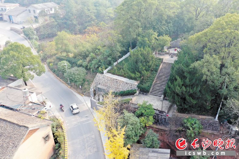 　　现在的左公墓园面积仅 1.8 亩左右，入口紧挨公路，路上车辆络绎不绝，有严重的安全隐患。　　均为长沙晚报全媒体记者 周数邑 摄