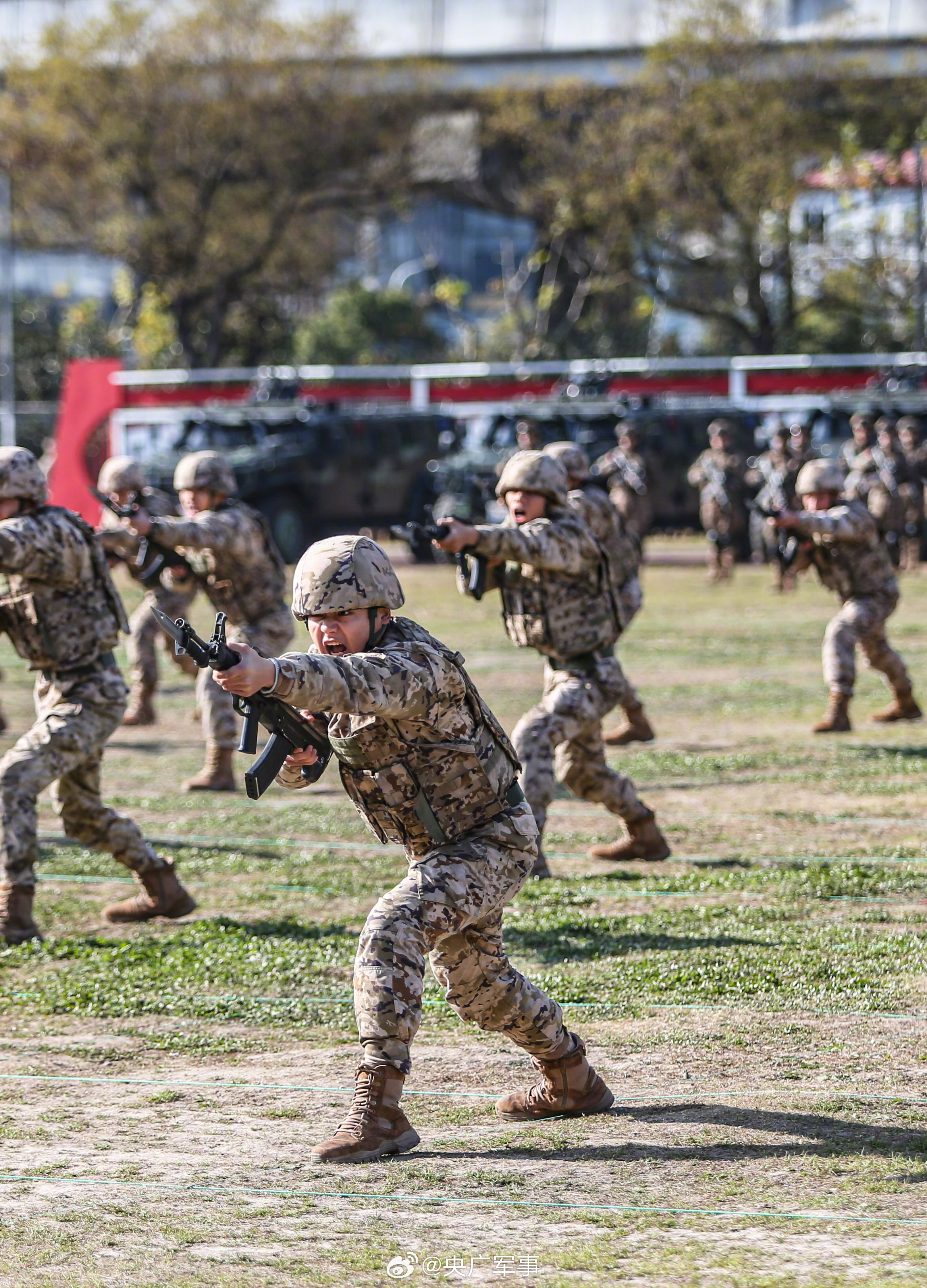 练练练!直击武警官兵火热练兵场