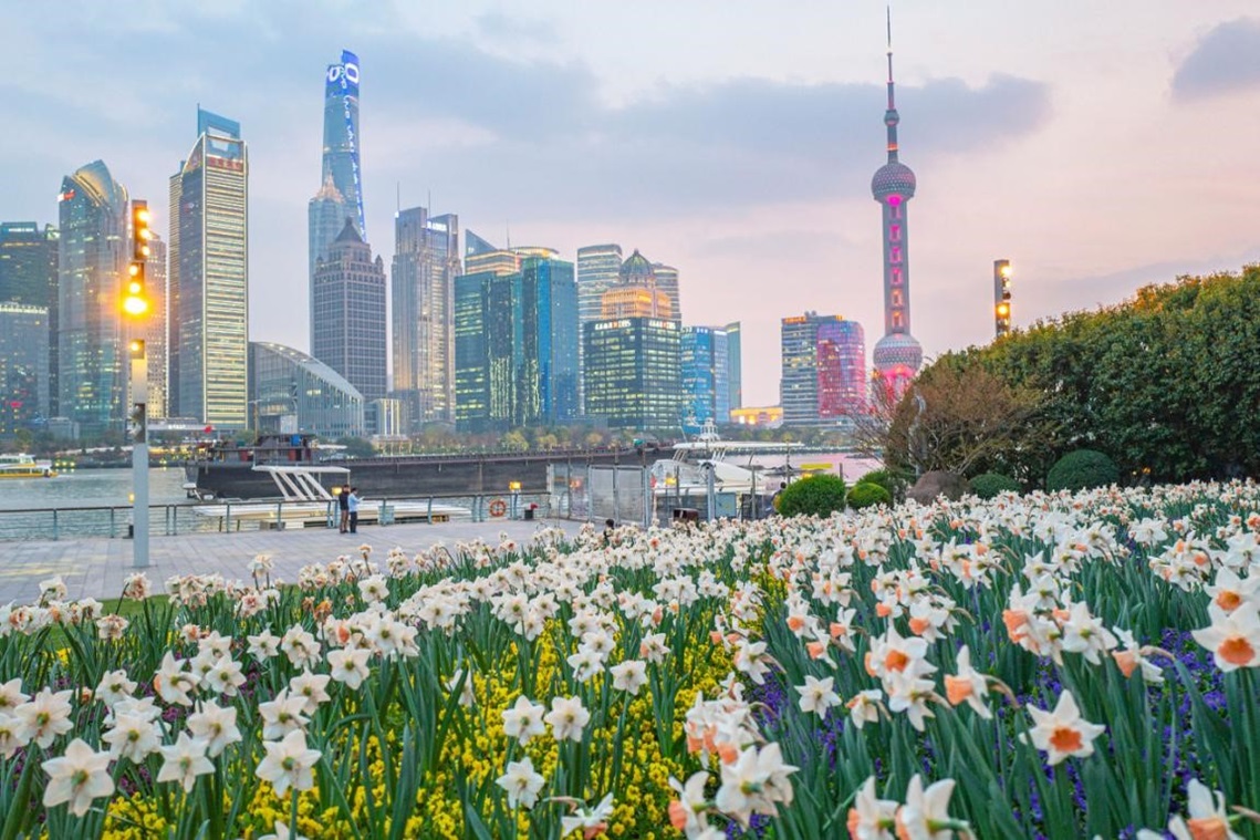 遙望浦東陸家嘴。王初攝