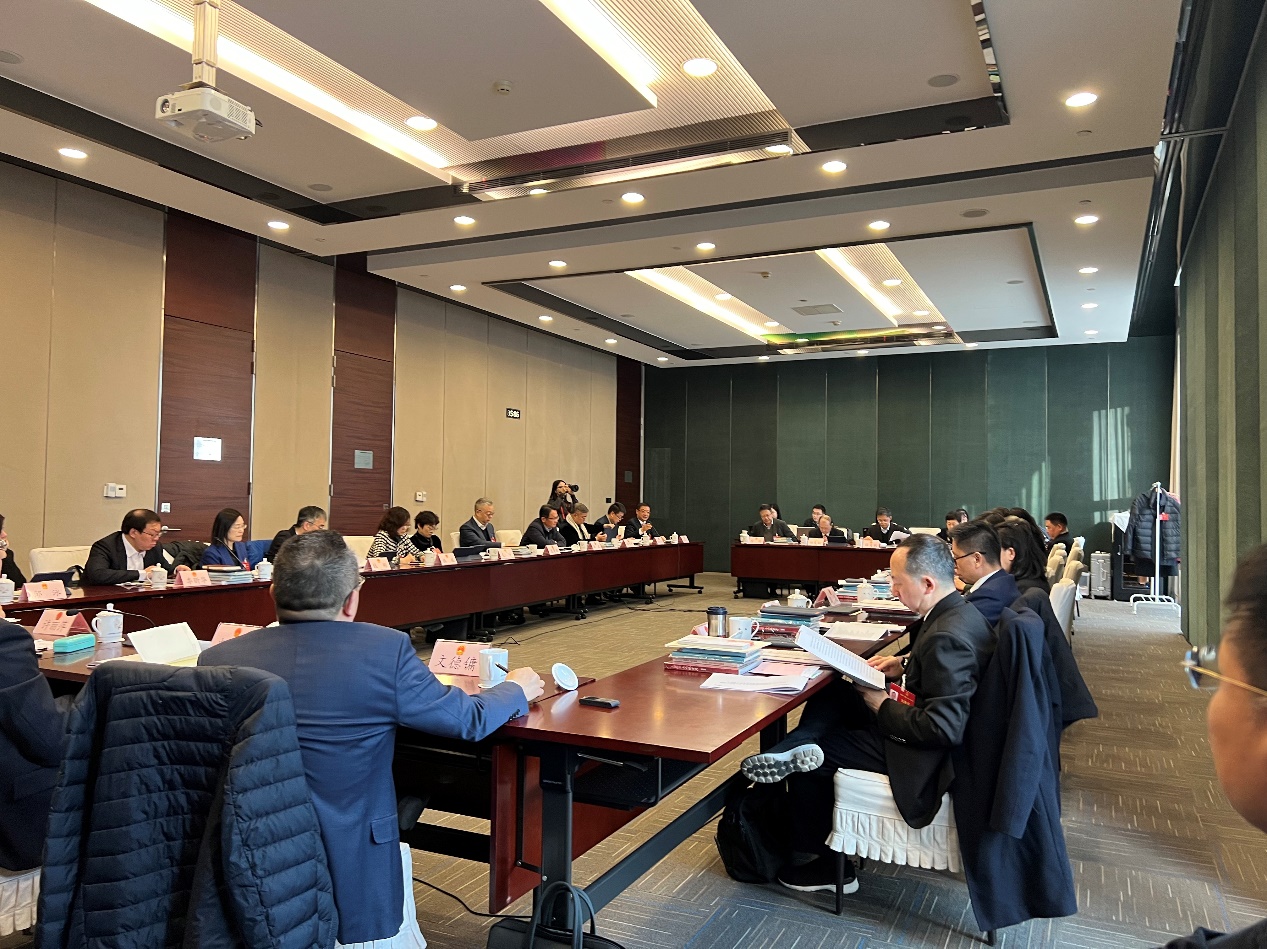 人大代表分組審議。馬作鵬攝