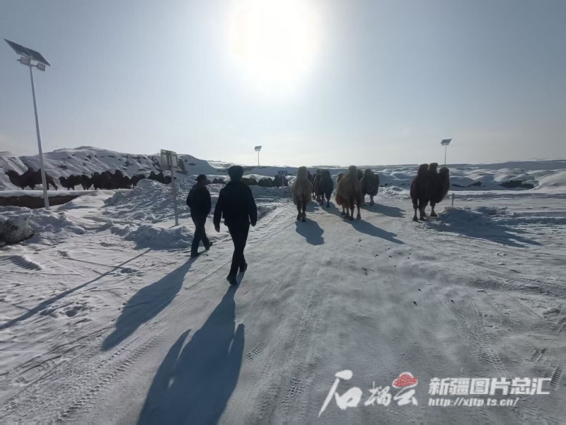 mmexport1739008455368