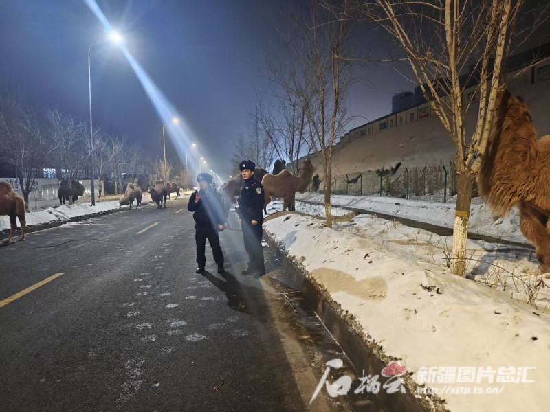 mmexport1739008145083