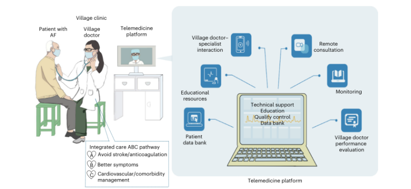MIRACLE-AF研究整合管理模式主题图
