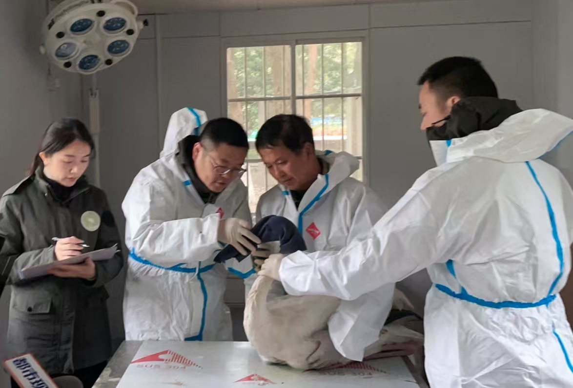 08f37d020e5fcedf92427e3a2dfd13e