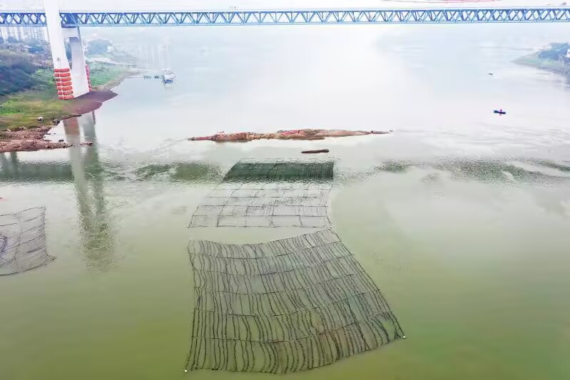 朝涪段工程建起的人工鱼巢。受访者供图