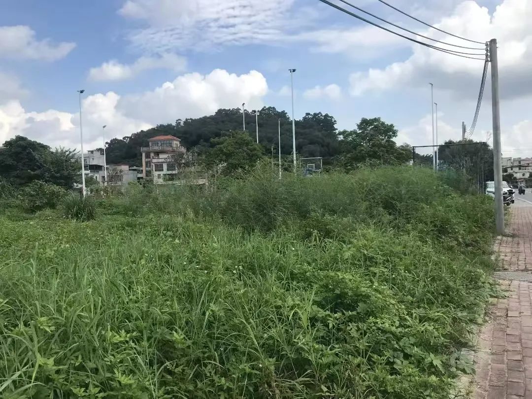 改造前的汤屋路篮球场旁约2亩荒地