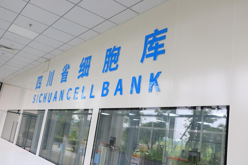 四川省细胞库。受访者供图