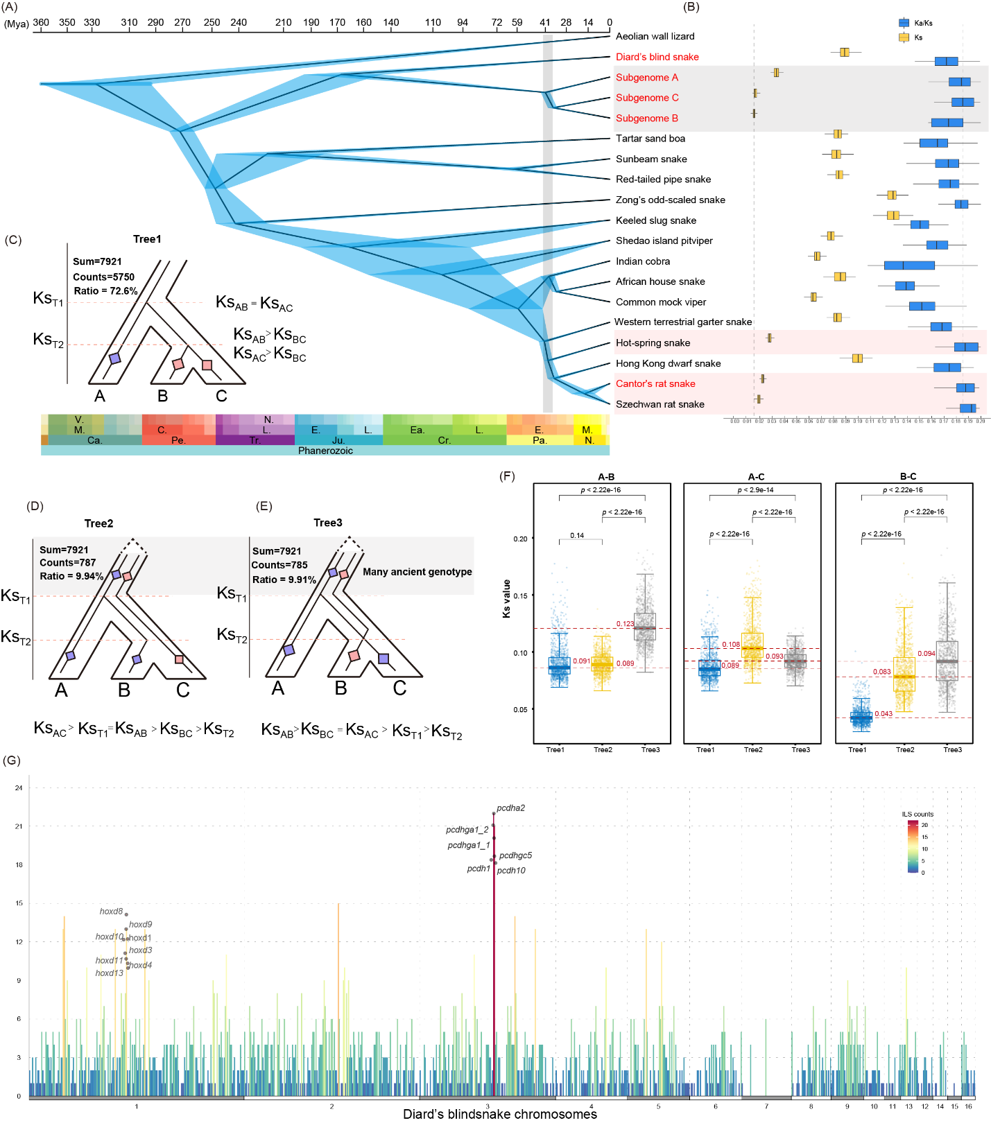 C:\Users\46604\AppData\Local\Microsoft\Windows\INetCache\Content.Word\Figure 2.png
