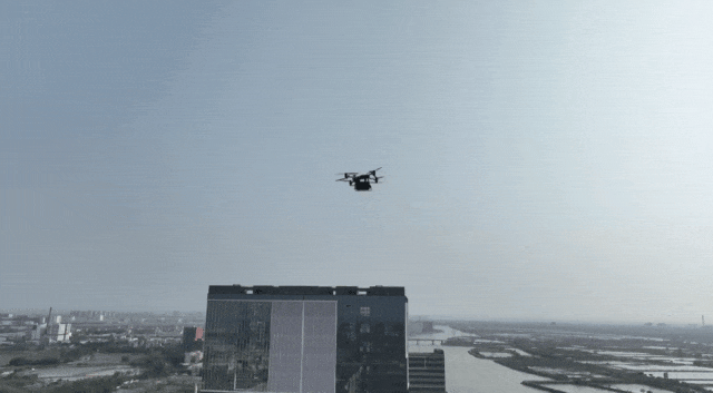 GIF1.gif