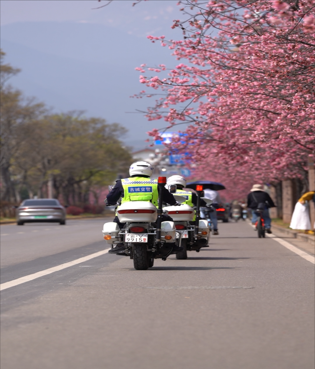 4415fe81ad0e5b331cb4e7cee62d8dd