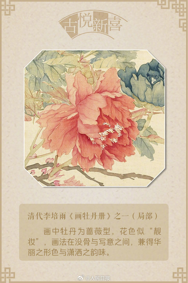 国色天香！原来牡丹有这么多种