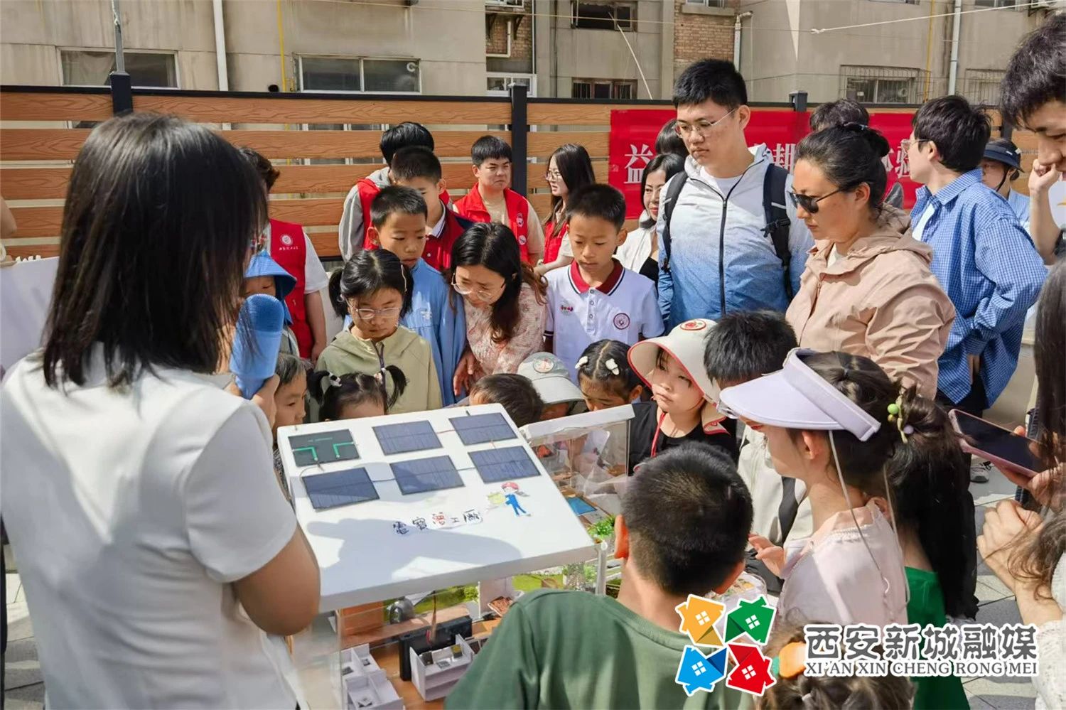 “空中”菜园“播种”社区治理新路径_西安市新城区