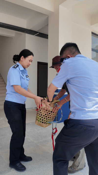 七旬老人徒步12公里,只为这件事