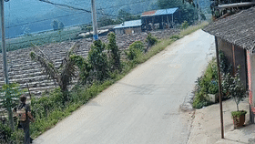 七旬老人徒步12公里,只为这件事