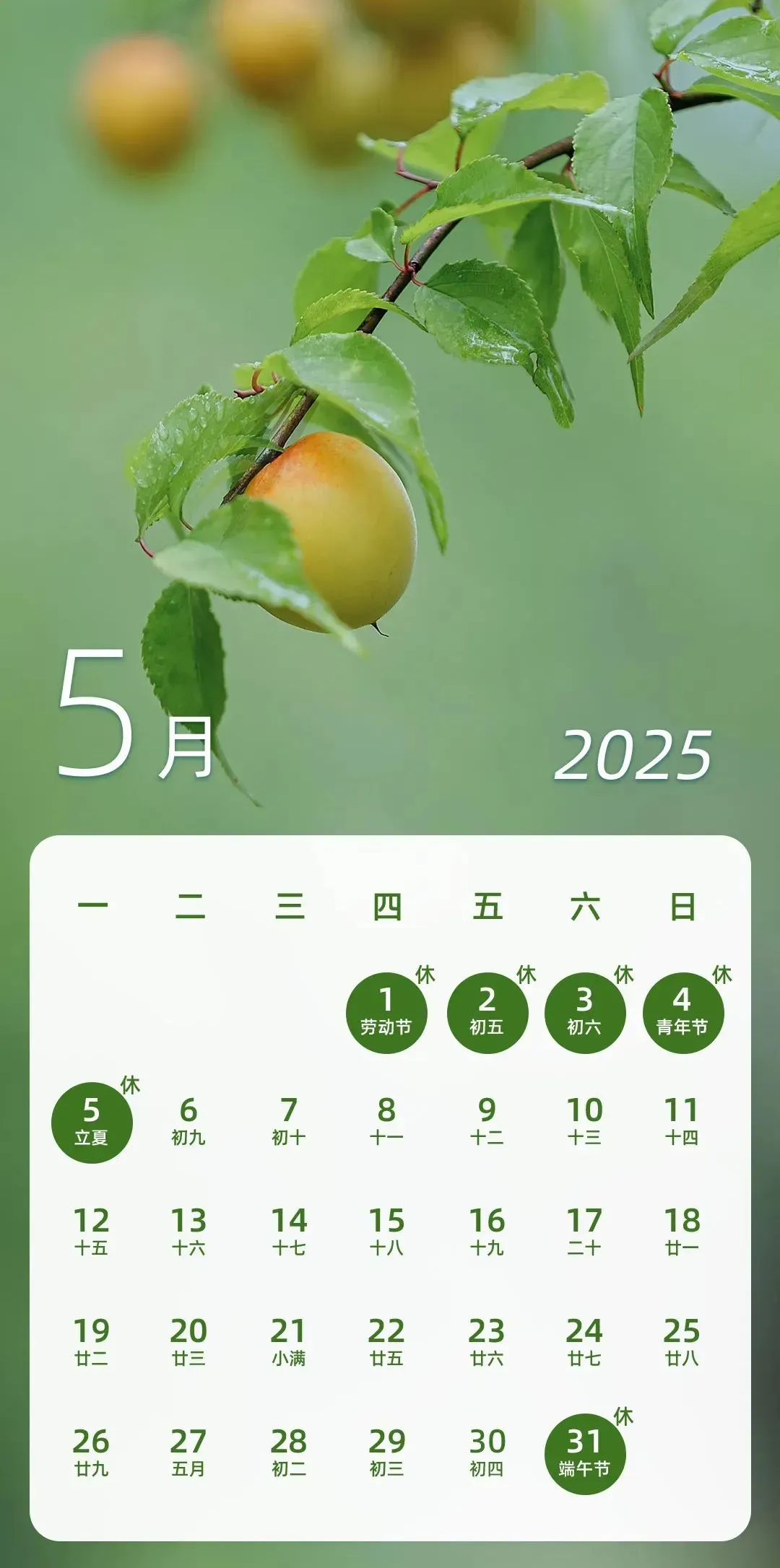 1927870276922486784.png
