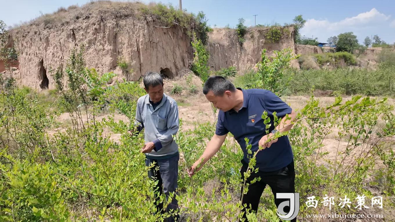 20250605115957627-3-ad4df.jpg_scale.jpg 20250605115957627-3-ad4df.jpg_scale.jpg