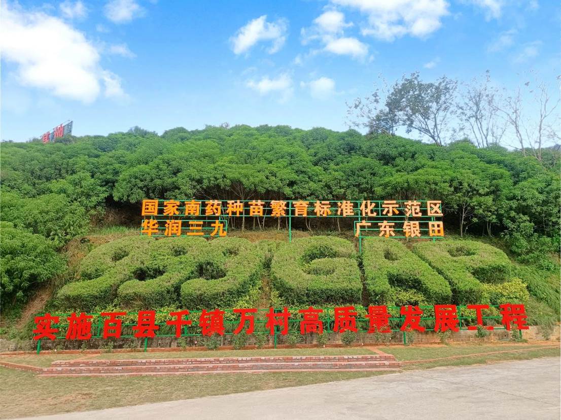 云浮云城：实干笃行促发展 三年蝶变展新颜