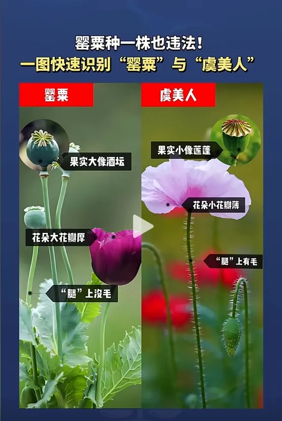 小孩哥稚笔写“举报信”，民警：盖章回信，公开表扬