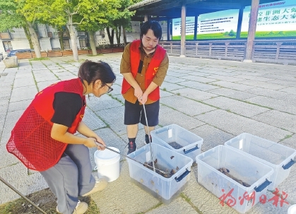 全省集中灭除非洲大蜗牛志愿者行动启动 全省集中灭除非洲大蜗牛志愿者行动启动