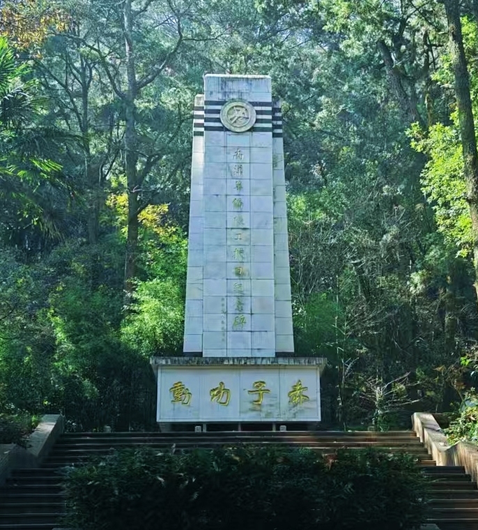 bf19a8f2d7f2fe63ad576e2189f4acd