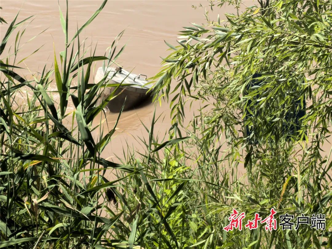 FZ007242233340_A5222137 图片