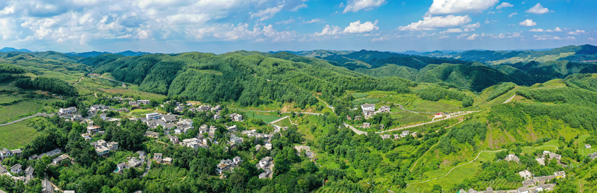 如今的海雀村。赫章县林业局供图