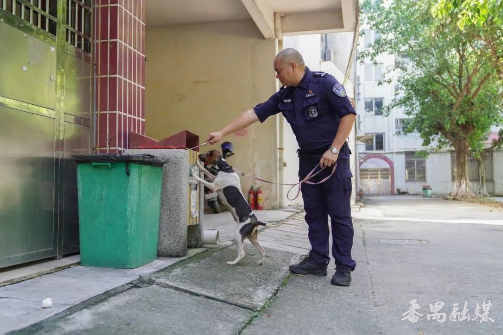 番禺警犬“坚五”出师 将参与十五运会安保工作_番禺融媒