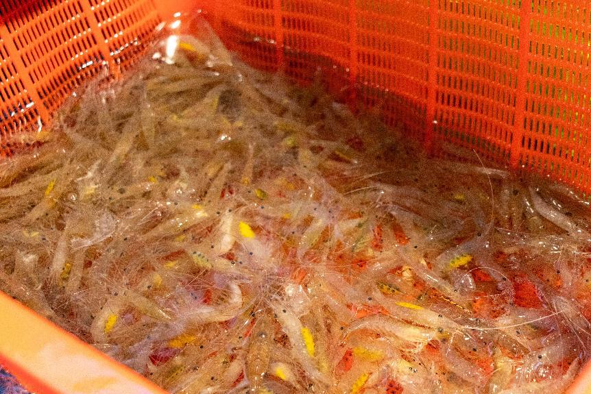 十四涌水产中心1