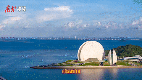 南方+ 金镝 拍摄