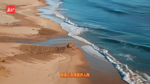 南方+ 金镝 拍摄