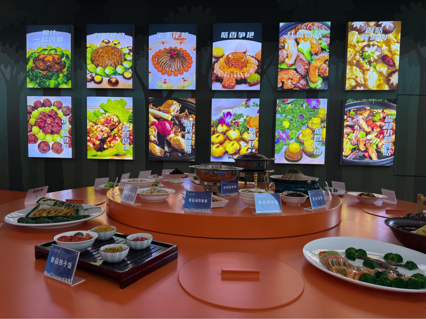 2025-08-27 22:51:16.051000